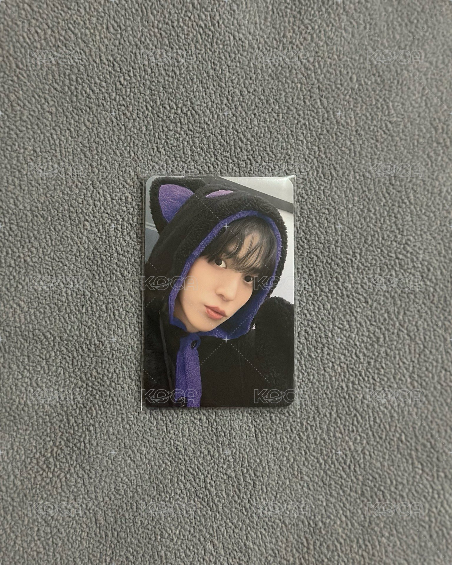 黑貓_潤