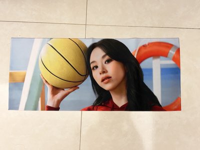 TWICE彩瑛五巡RTBS手幅