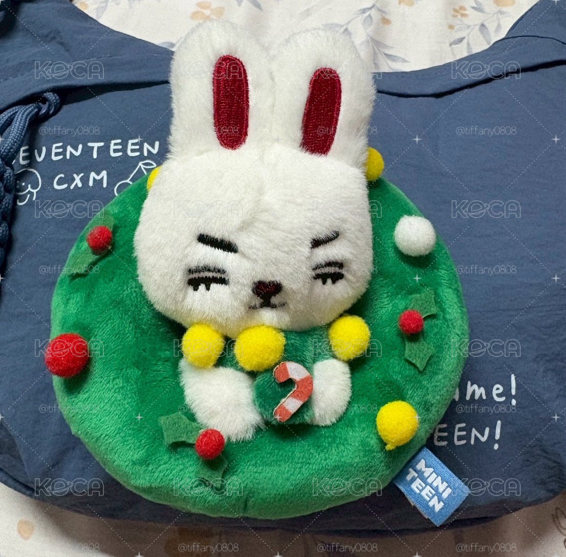 聖誕花圈喆