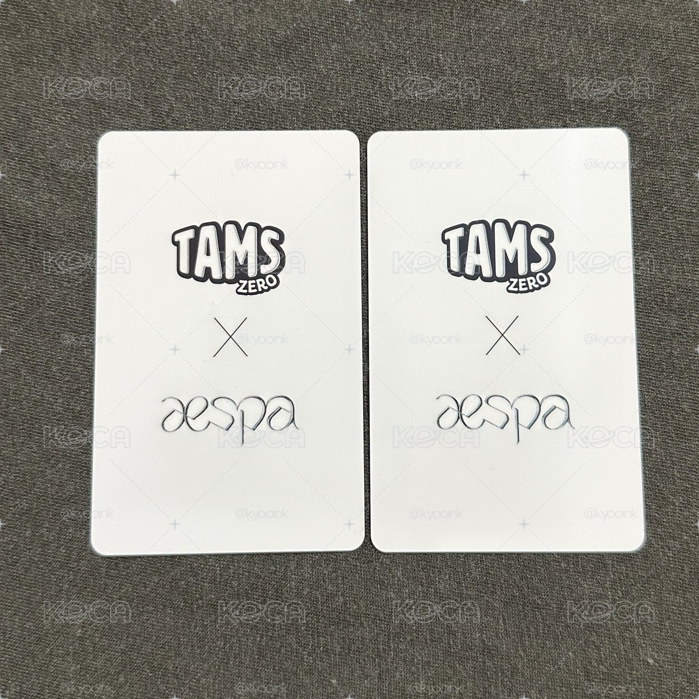 TAMS 代言卡 柚 寧