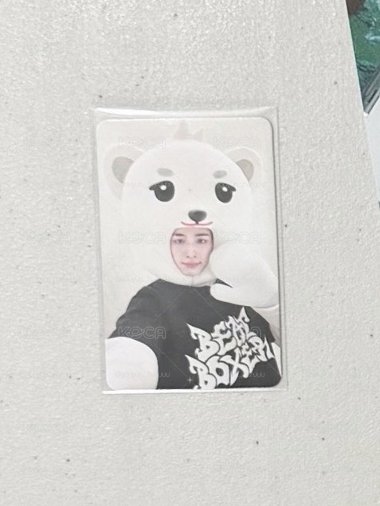 小動物打歌卡1.0🐻‍❄️
