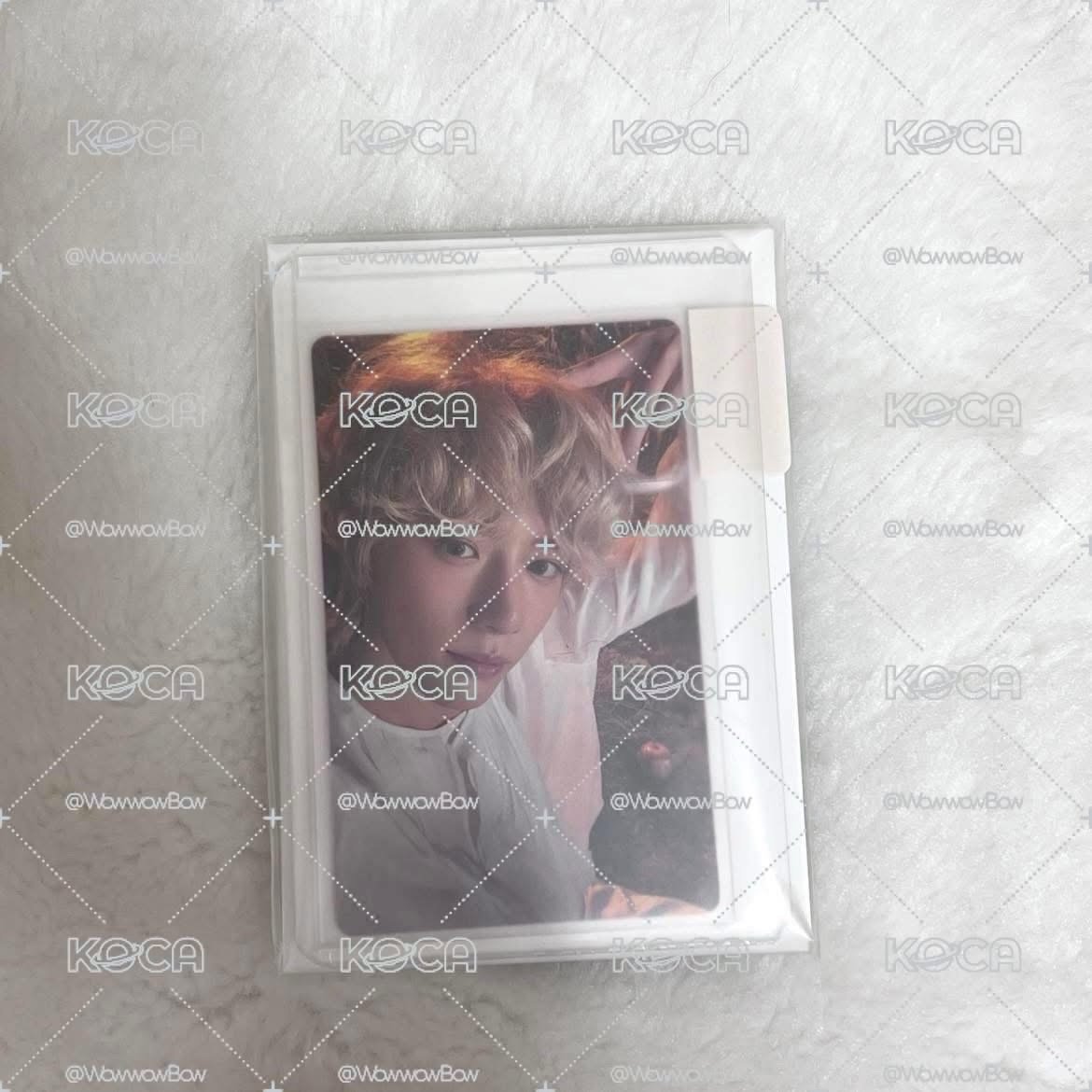 TXT 貓耳圭 wvs特典