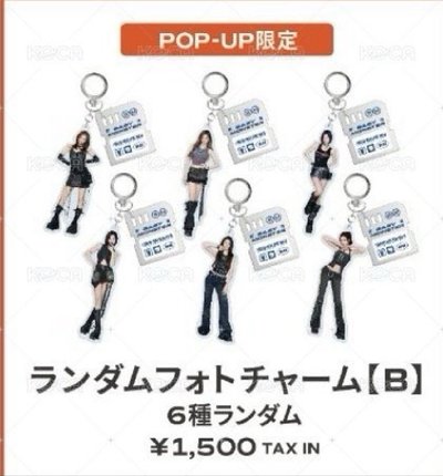 Search image