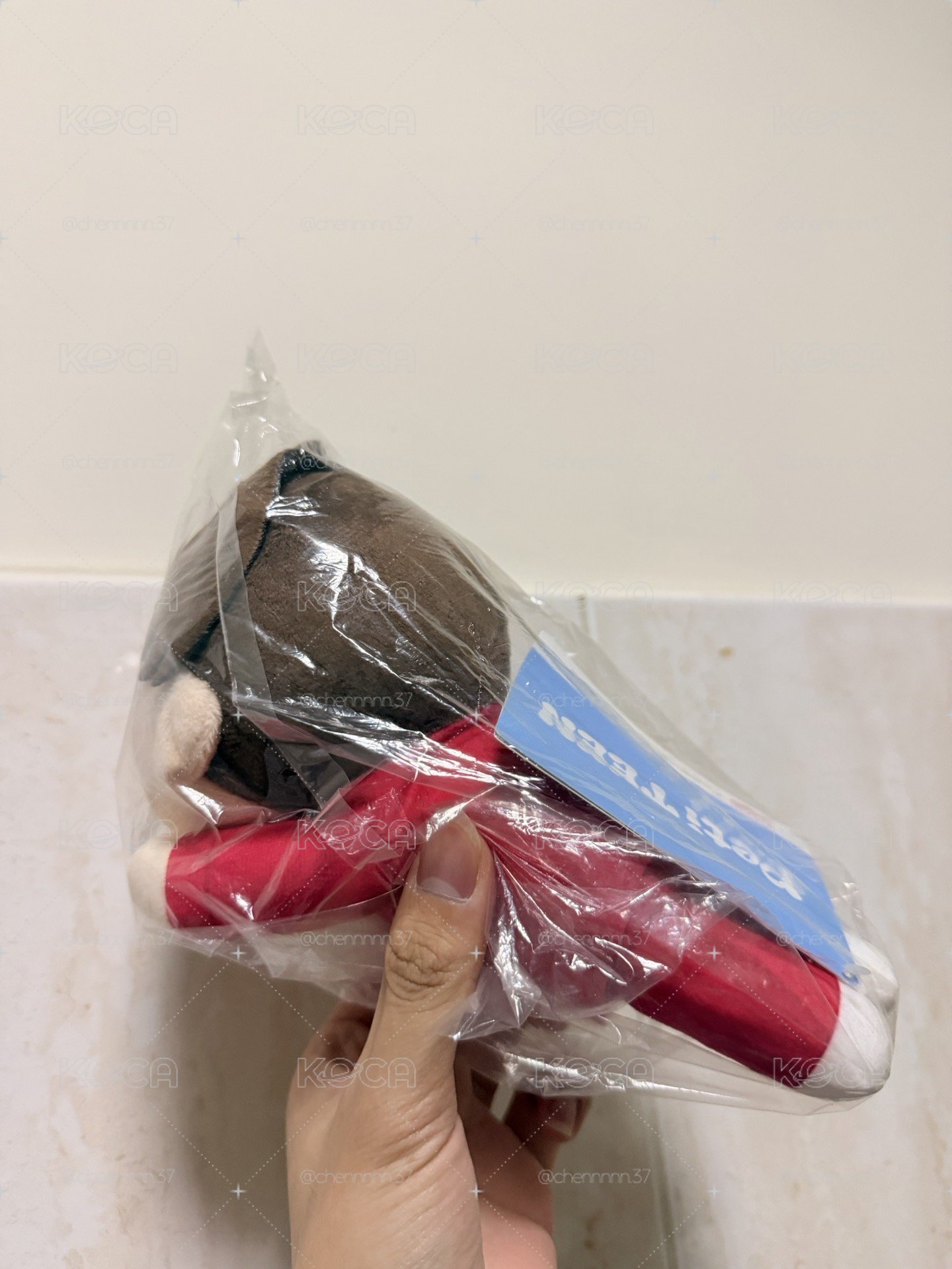 （北捷面交）（請先私訊勿直接下單！）PetiTEEN 李燦趴娃