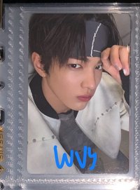 wvs鎬