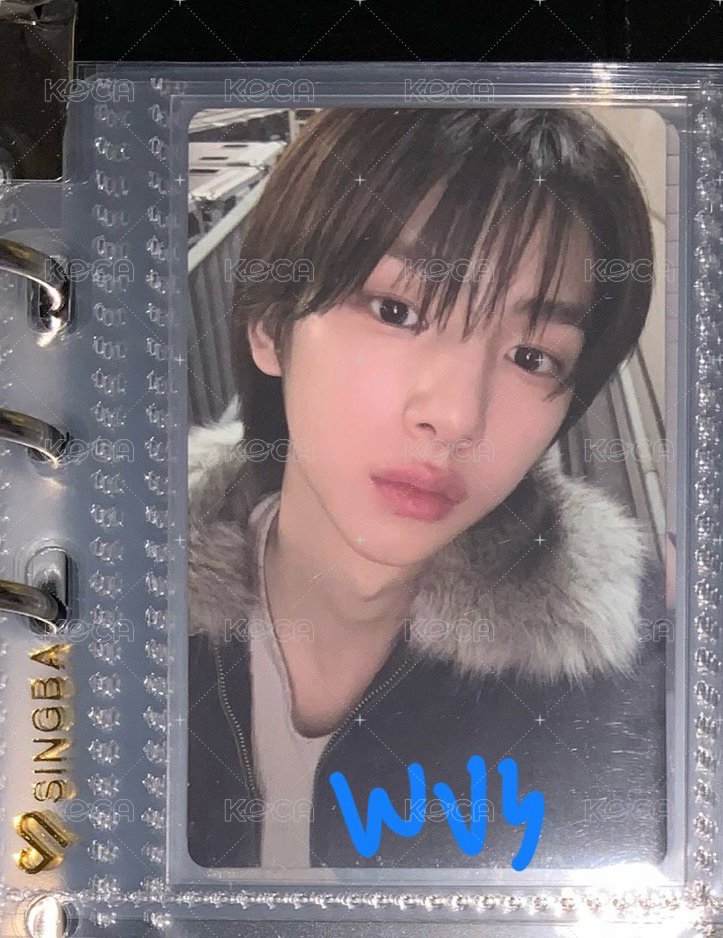 wvs訓