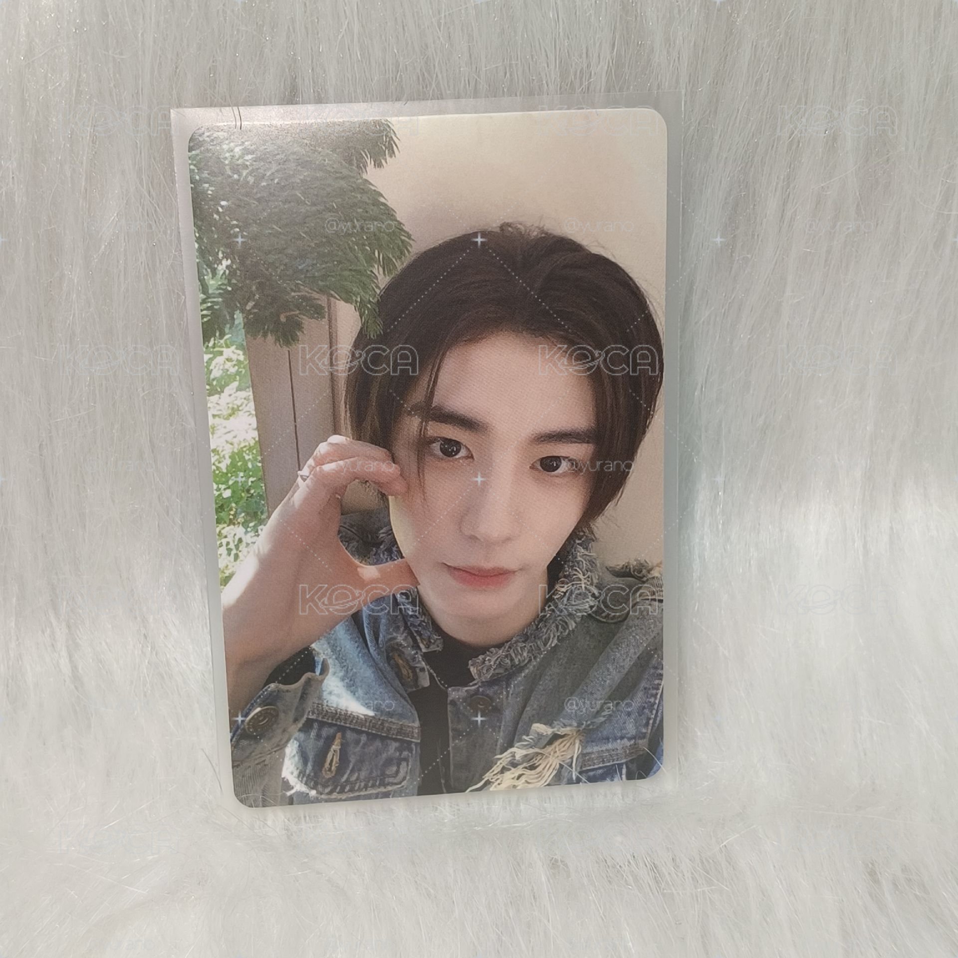 Leehan WHY yzy青島 中文卡背