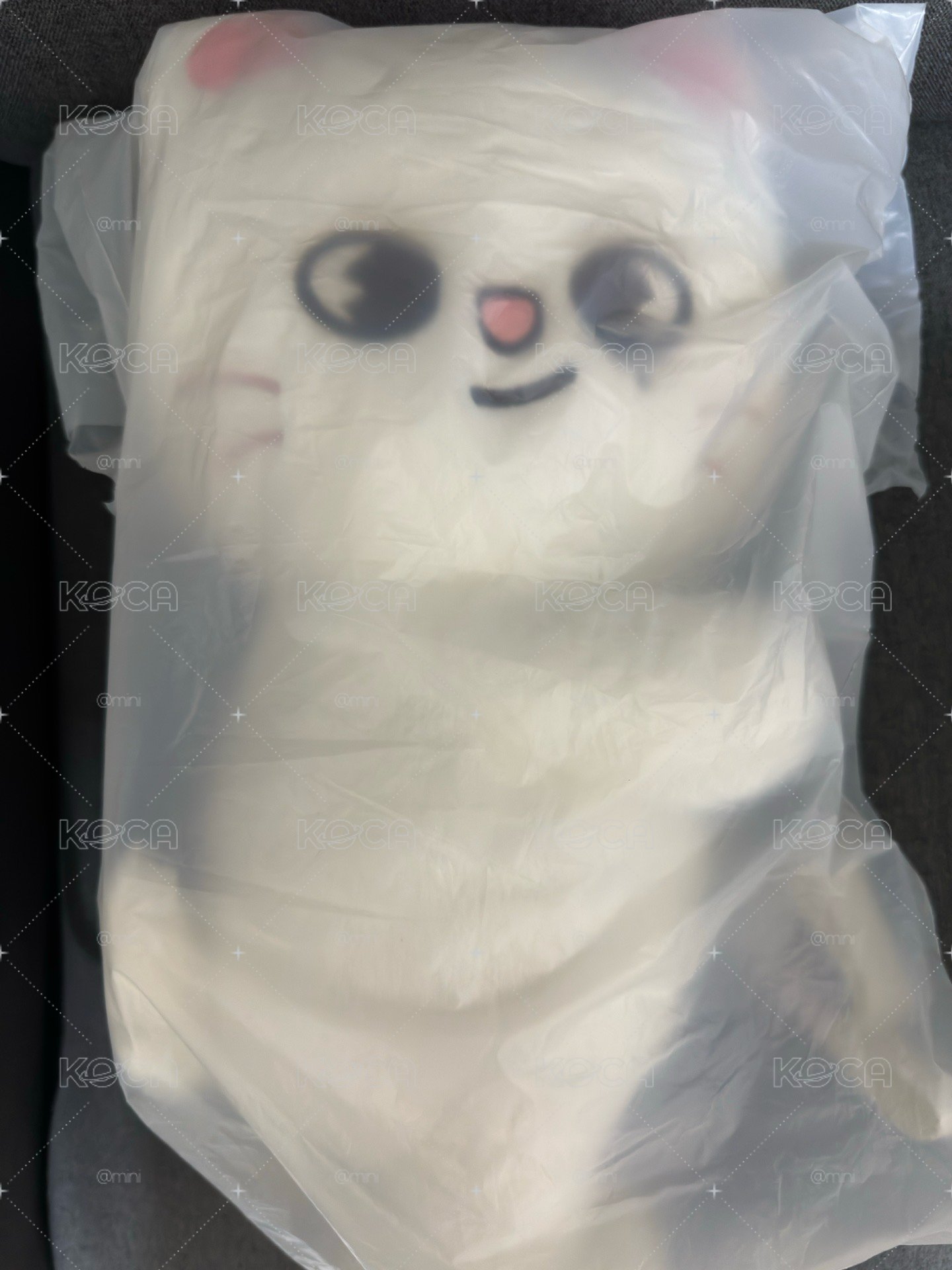 僅拆檢 側背娃辰
