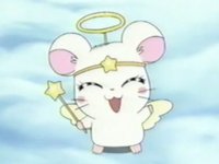 miiiyuu