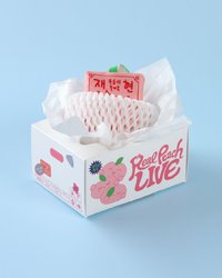 FROM J 寫真 吊娃 real peach live