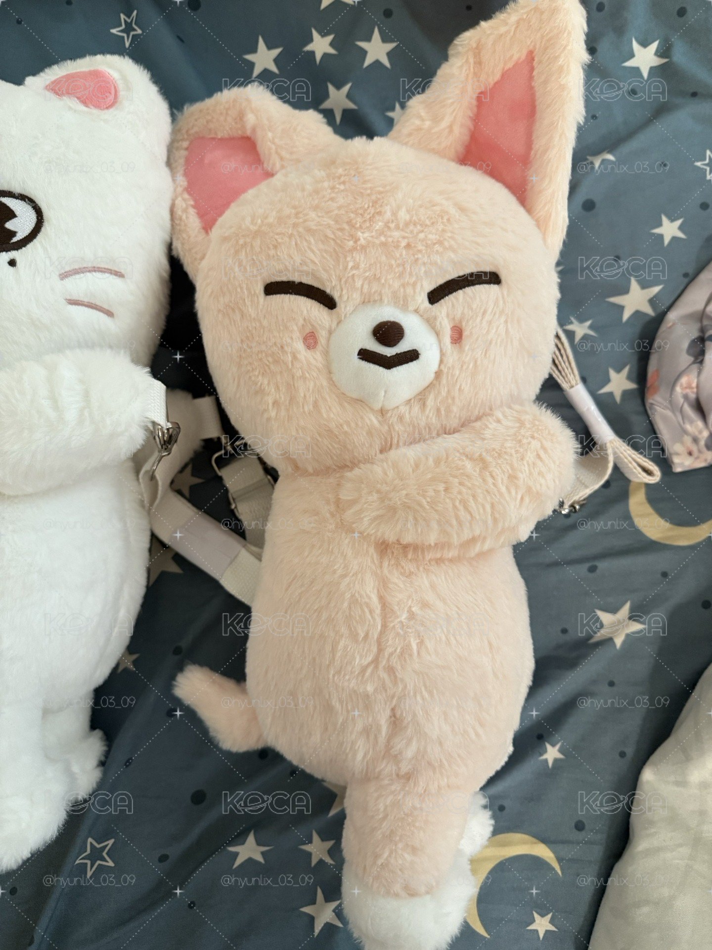 寅側背