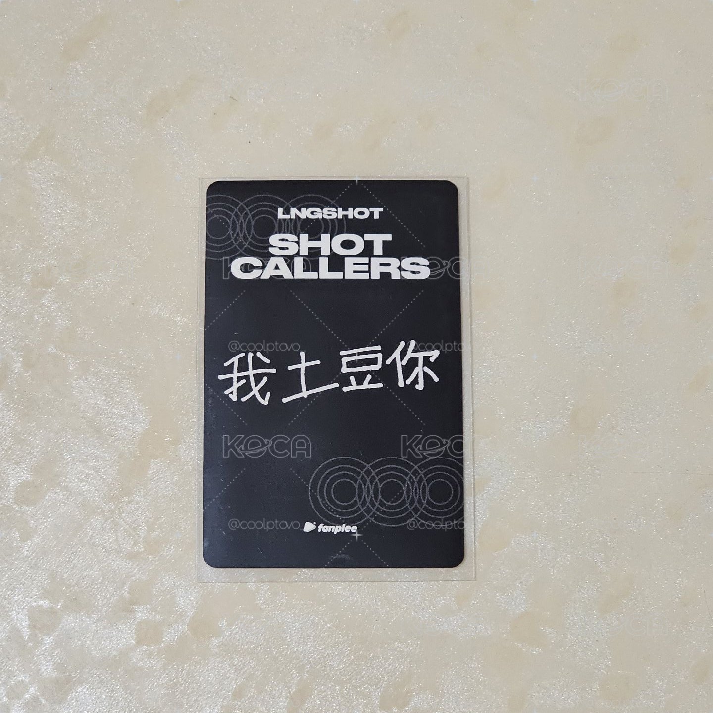 馬年中背栗