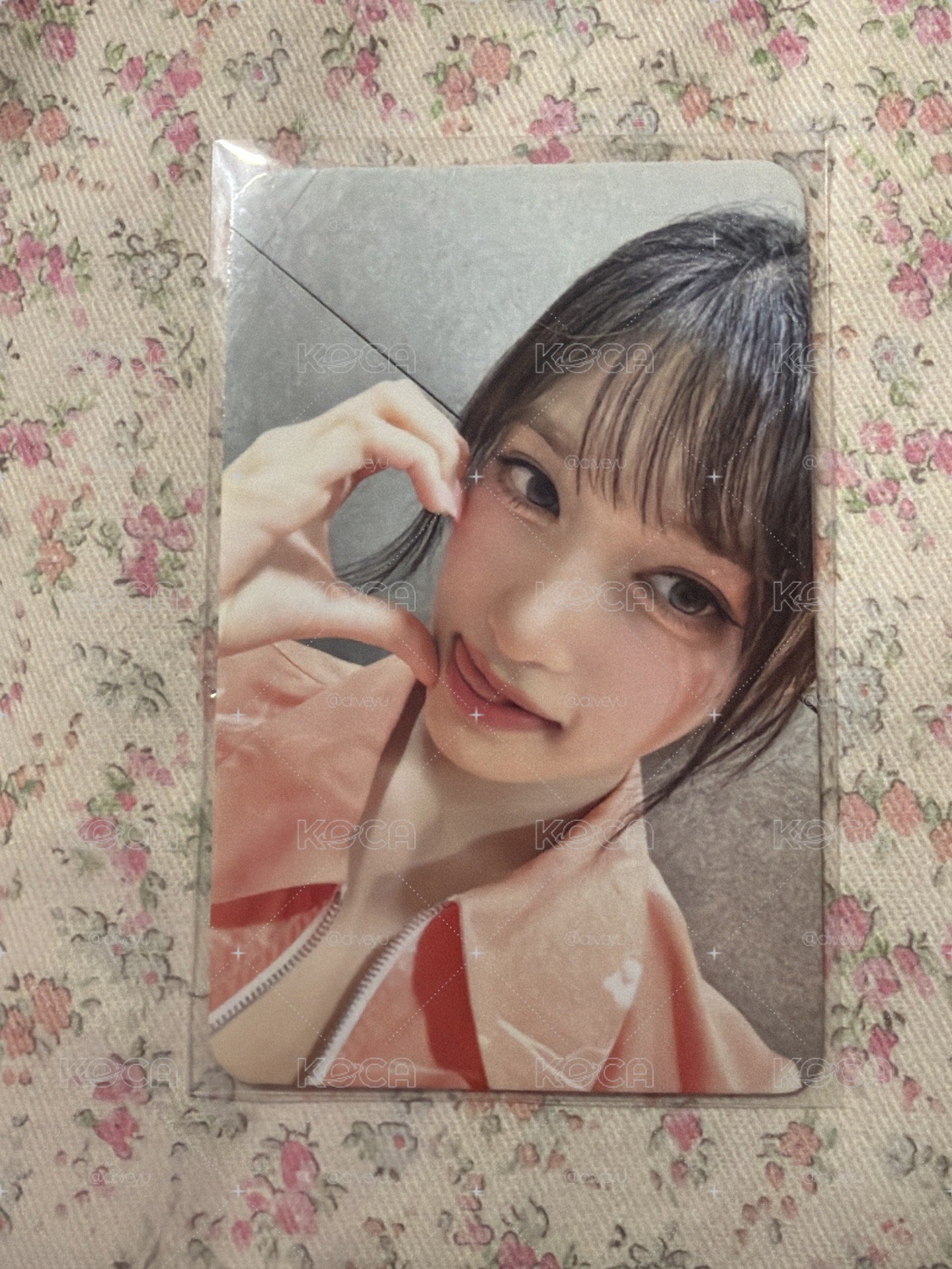 鮭魚瑞