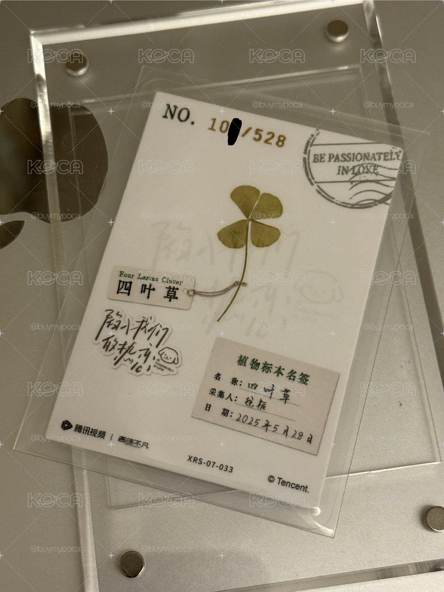 王安宇 陷入我們的熱戀 編卡