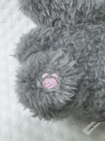 灰兔圭美 