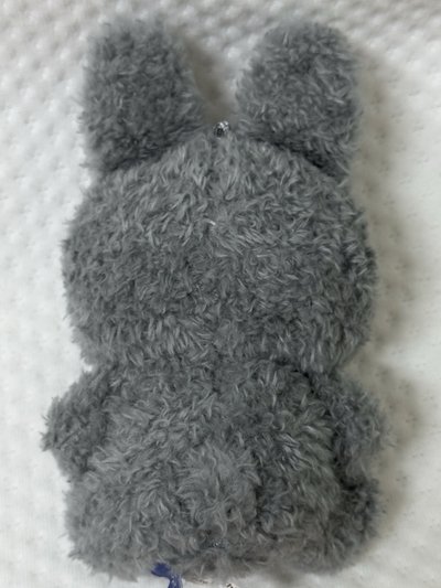 灰兔圭美 
