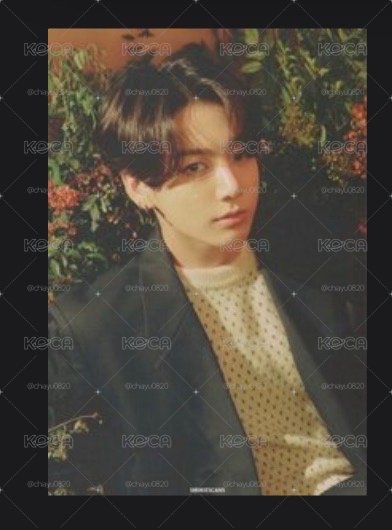 BTS hybe博物館展覽小卡組國、承her黑膠國、小森林系列忙內賴、阿里郎環球幸運俊&wvs分隊卡(皆非現 看資訊欄)