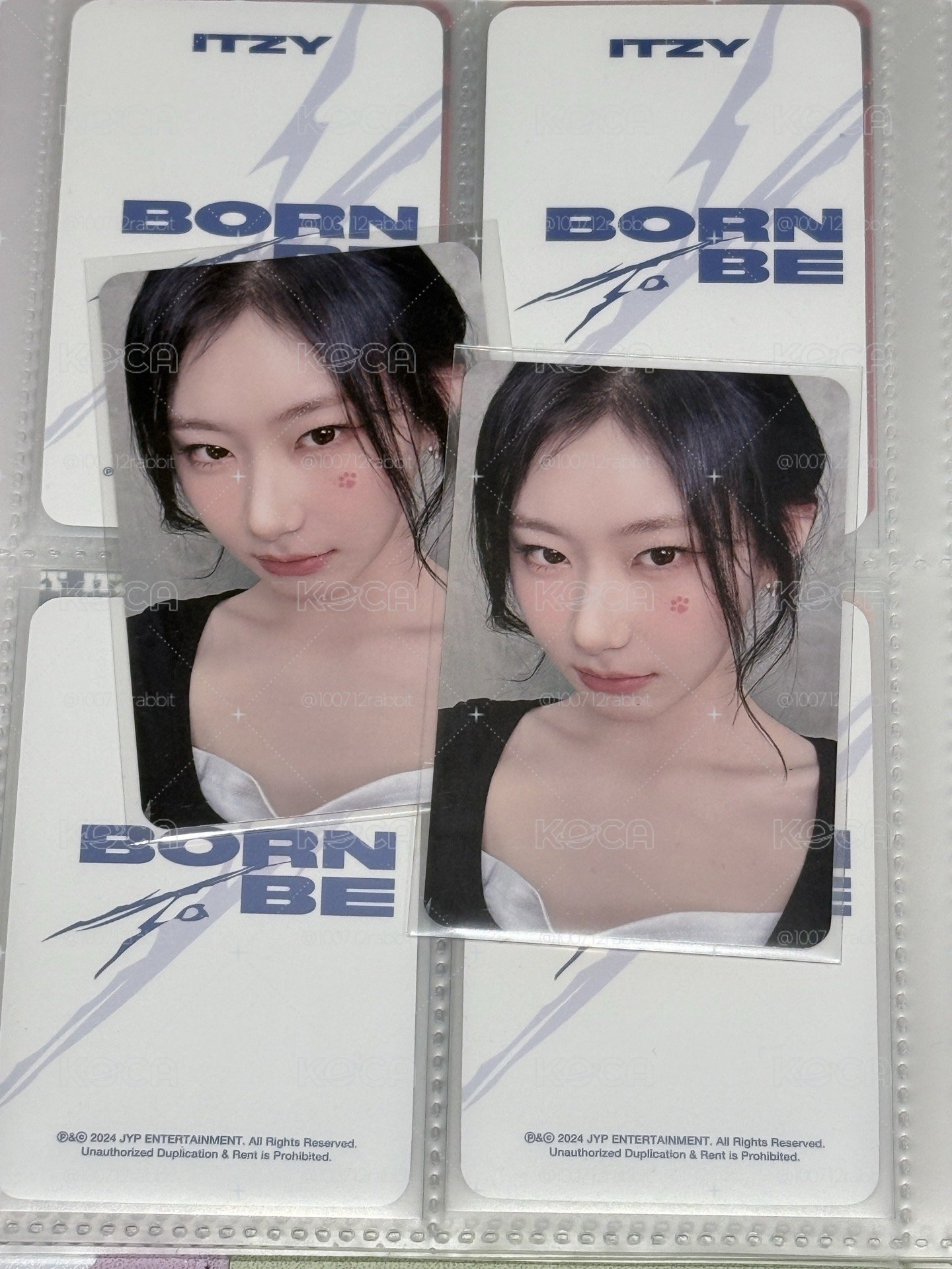TNVS ms 1.0 小貓貼貼領