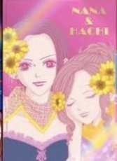 威化餅卡 扭蛋盲盒 娜娜、奈奈雙人花