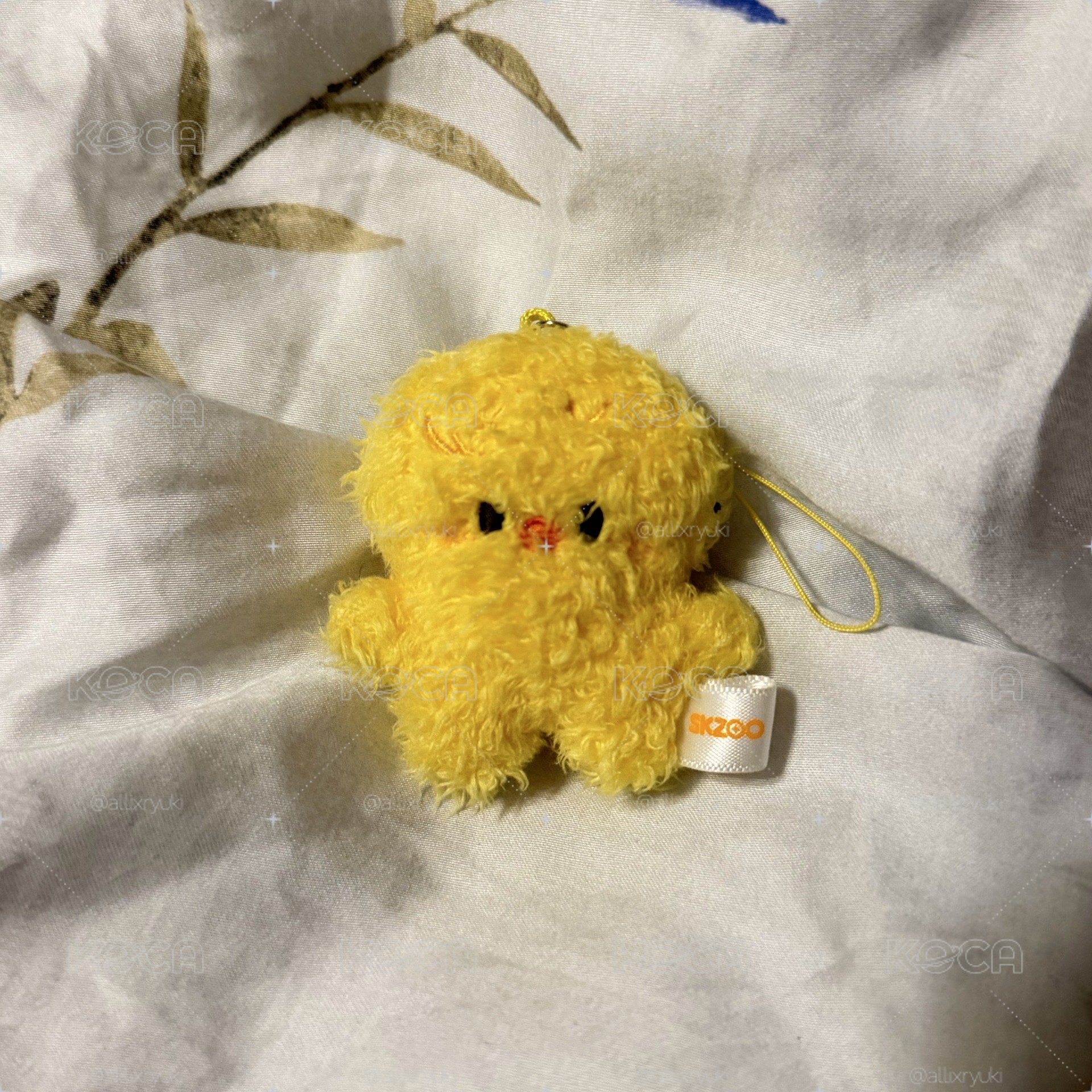 菲原皮潦草