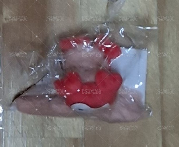 鯊魚夾