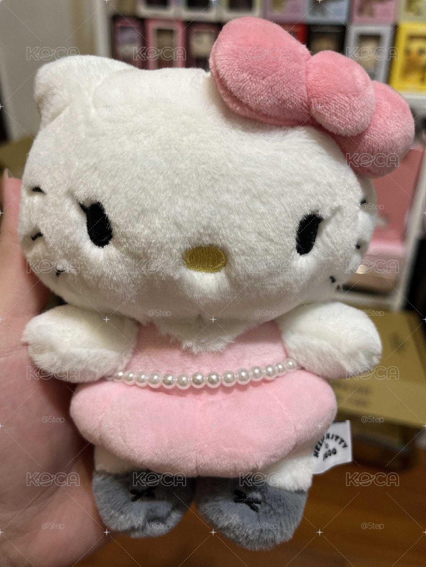 原色kitty