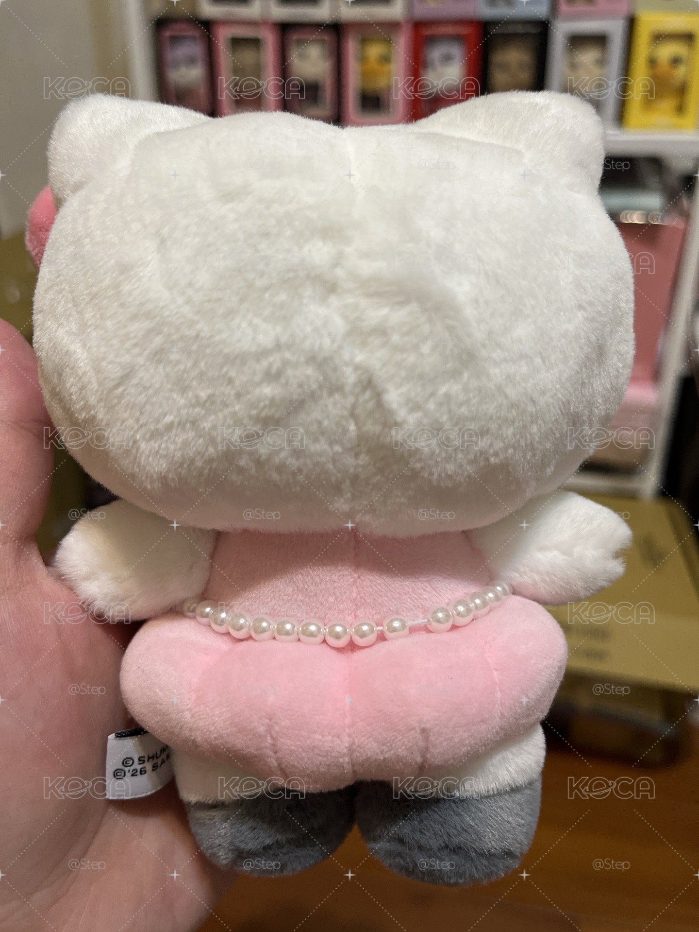 原色kitty