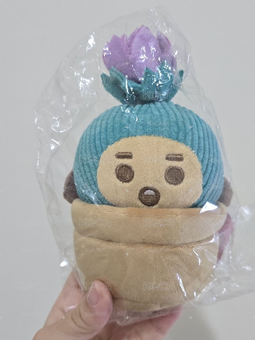 BT21 日限 仙人掌娃娃 Shooky