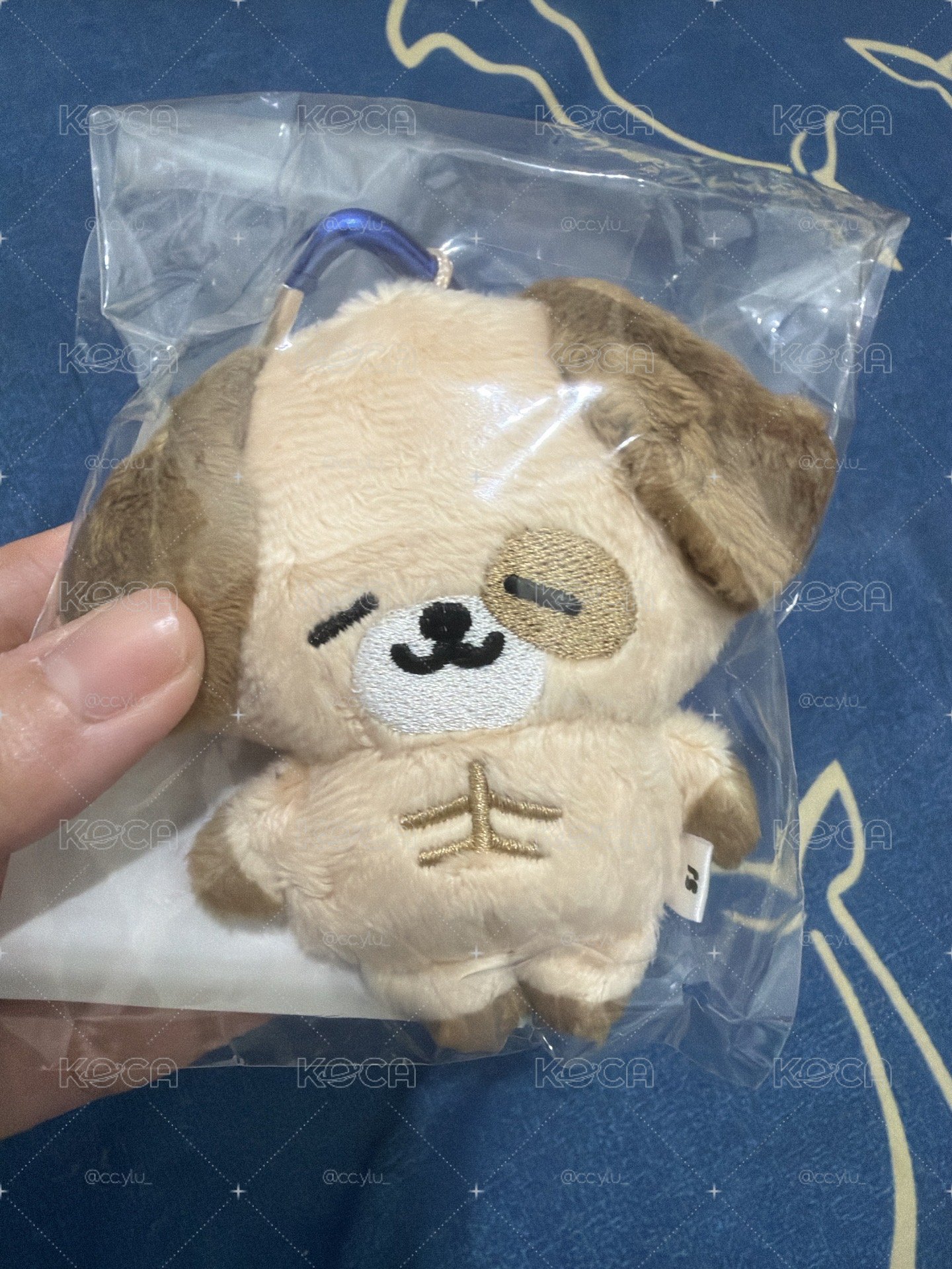 東海狗狗🐶（直出價or綁他團價）