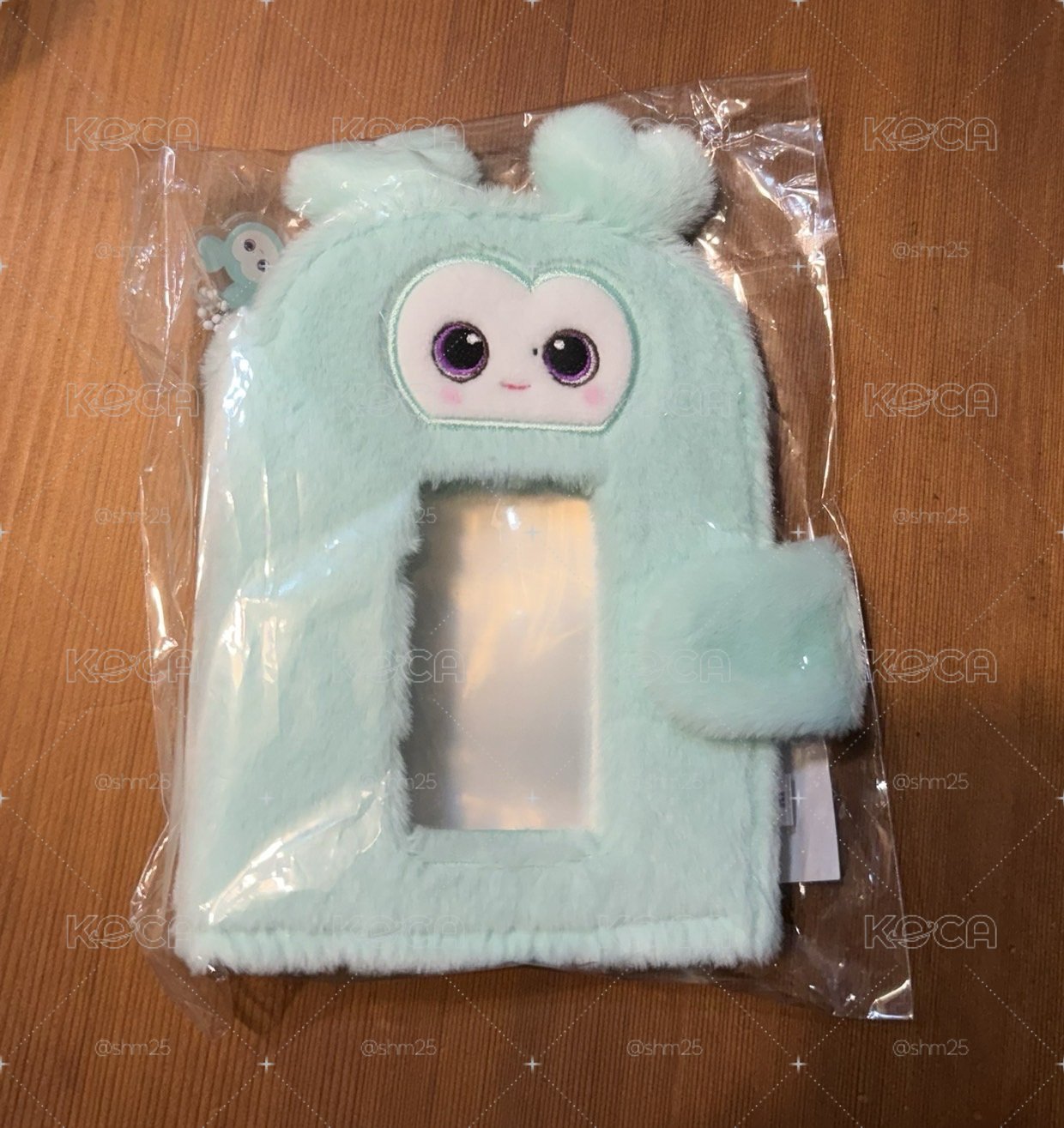 十週年南卡冊不含卡