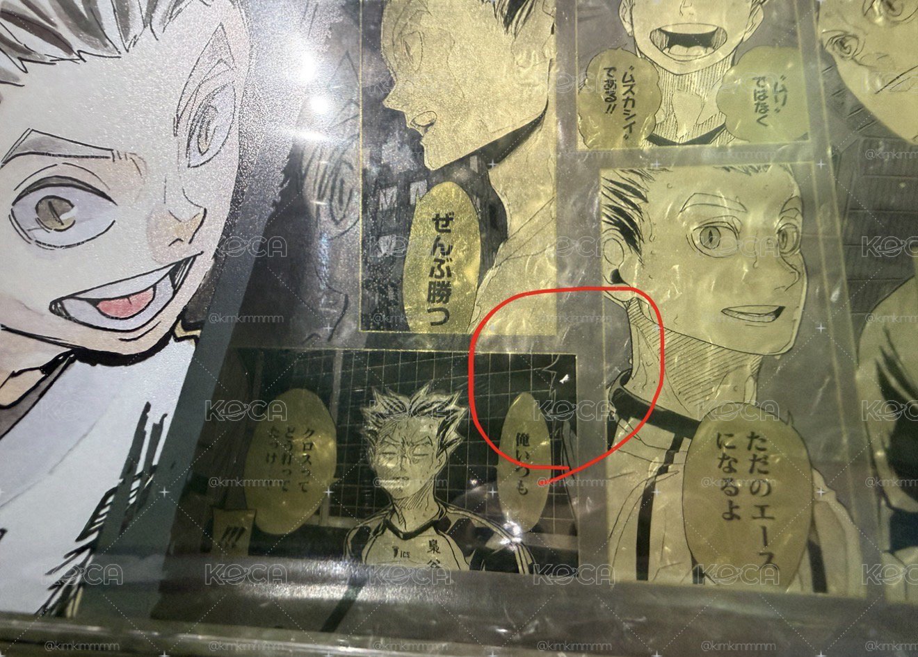 2024 木兔生日磚