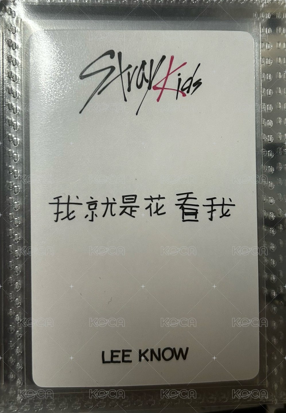 中背 樂 一直娛 1.0（250）