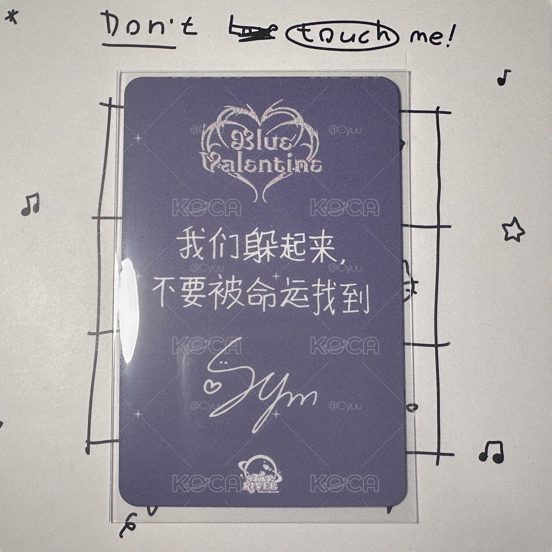 吸血鬼貓薛