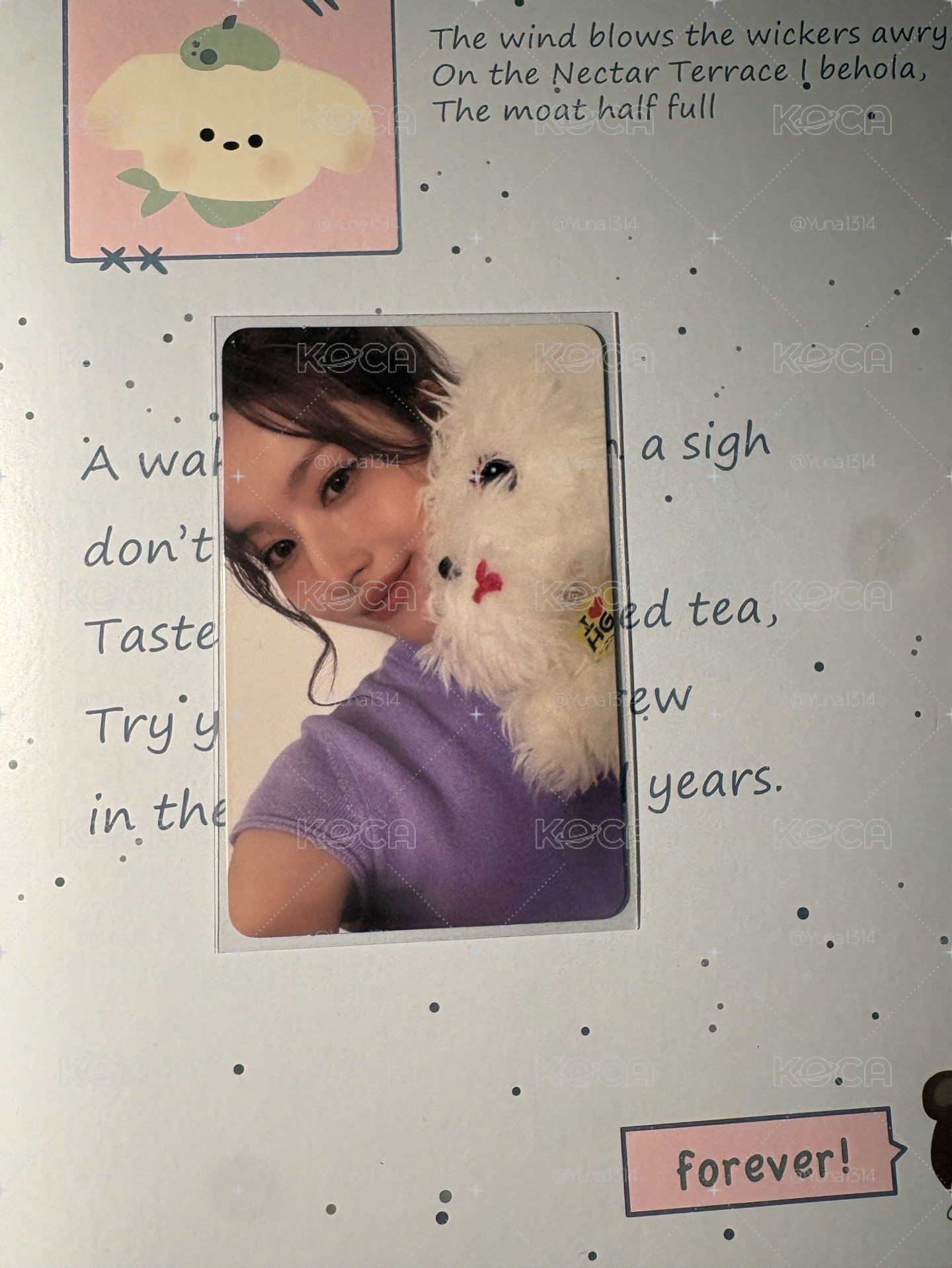 小狗紗