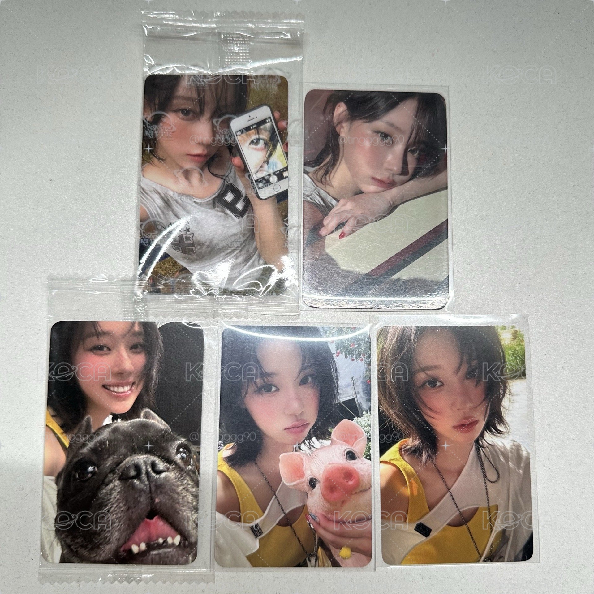 冬小卡