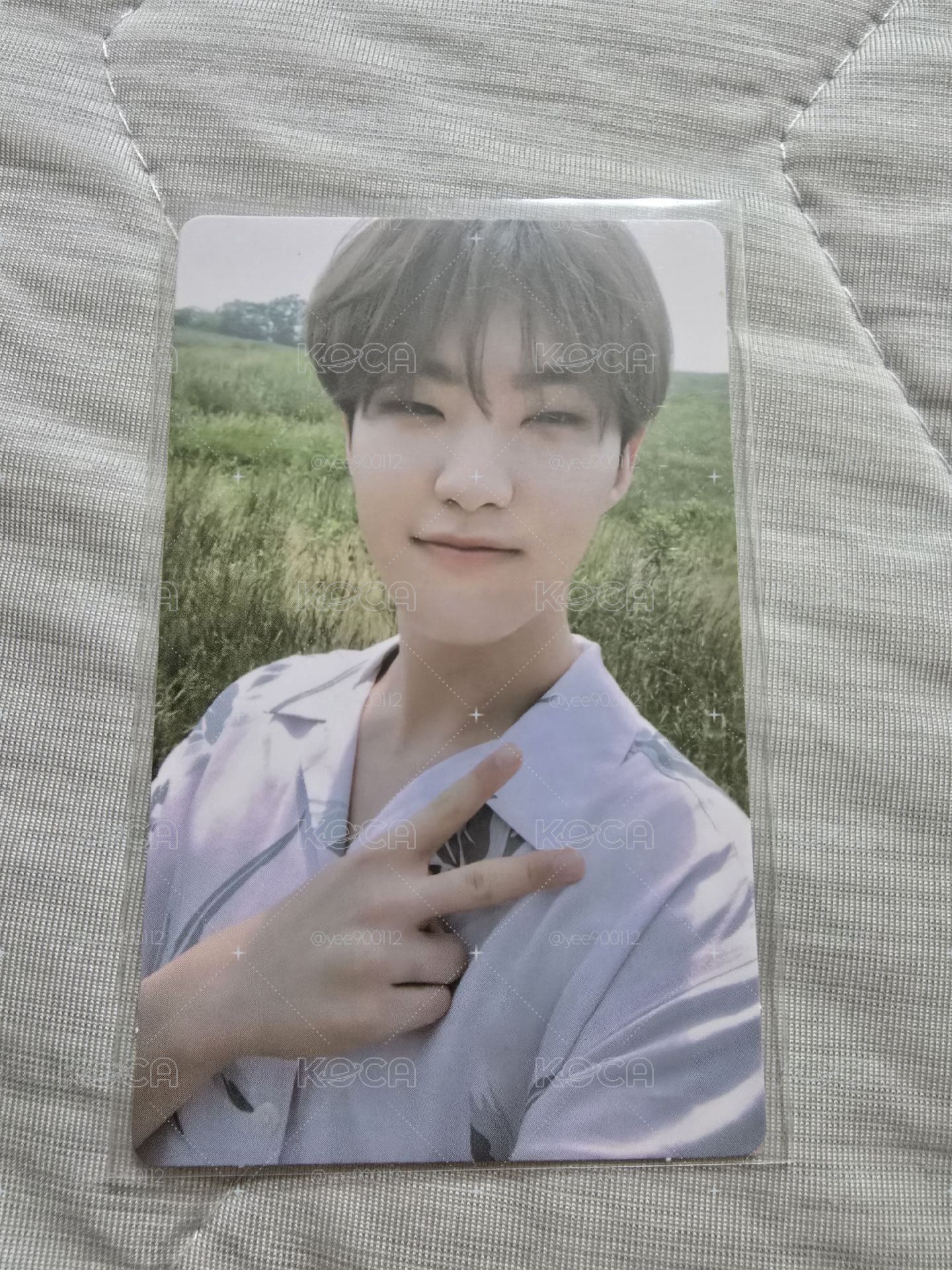 seventeen hoshi Mini 5迷五專卡