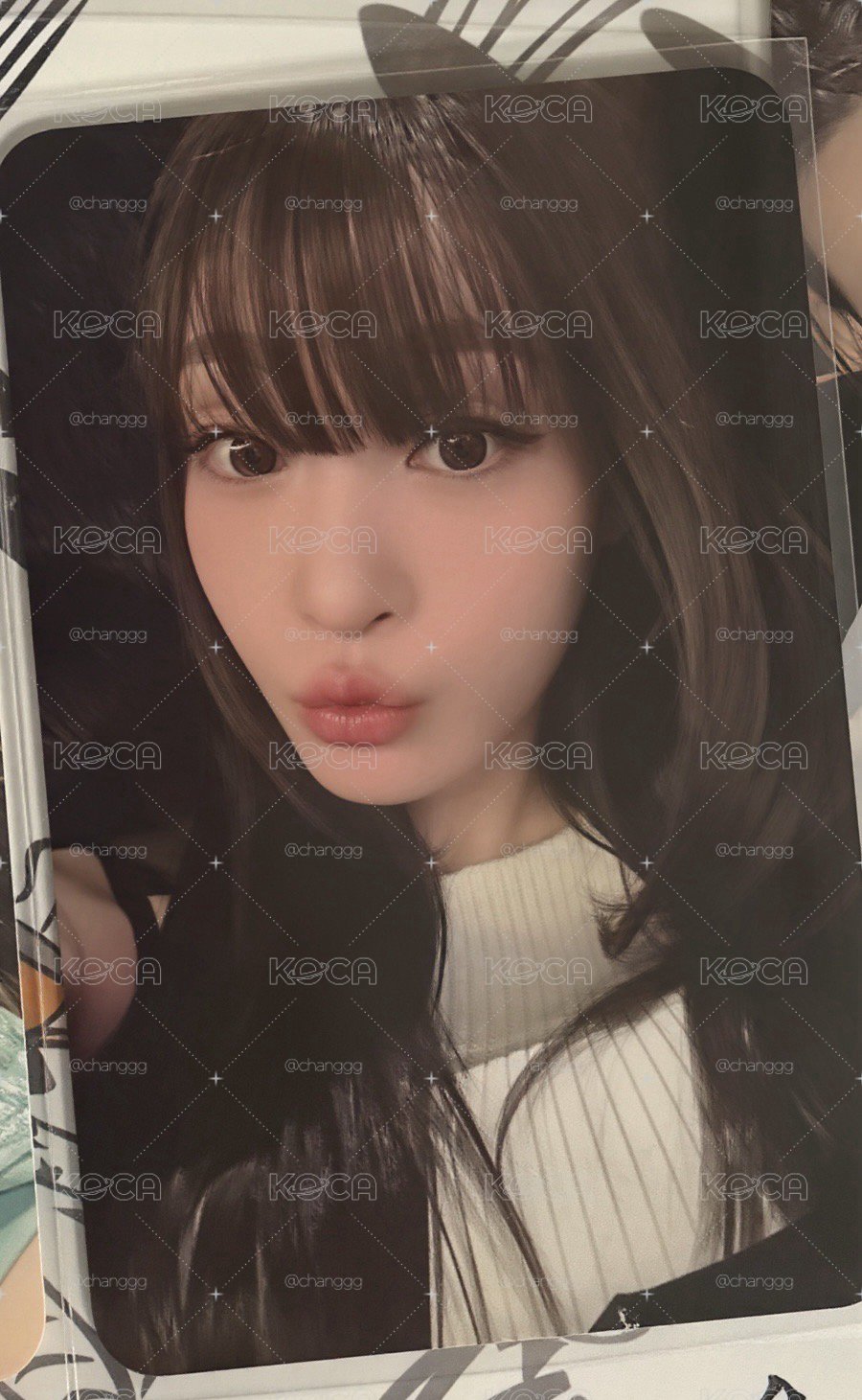 安妮姐姐 EL2.0 🦎