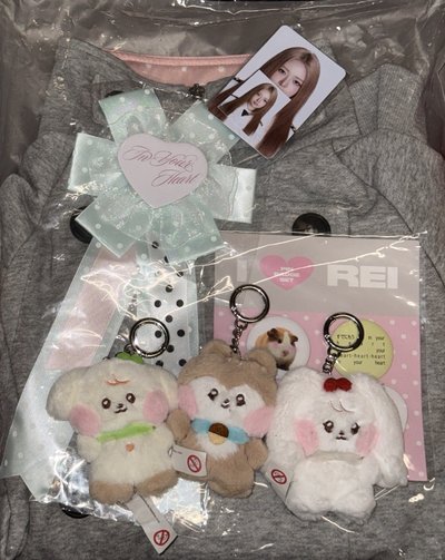 Ive line Rei手燈套 