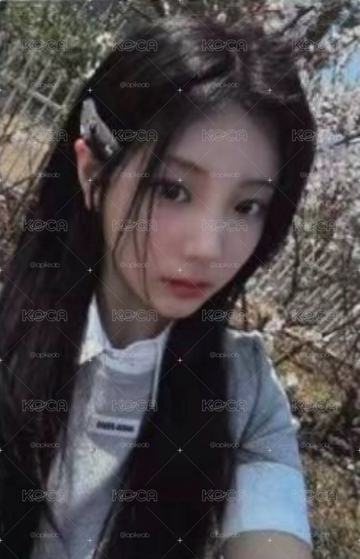 小卡