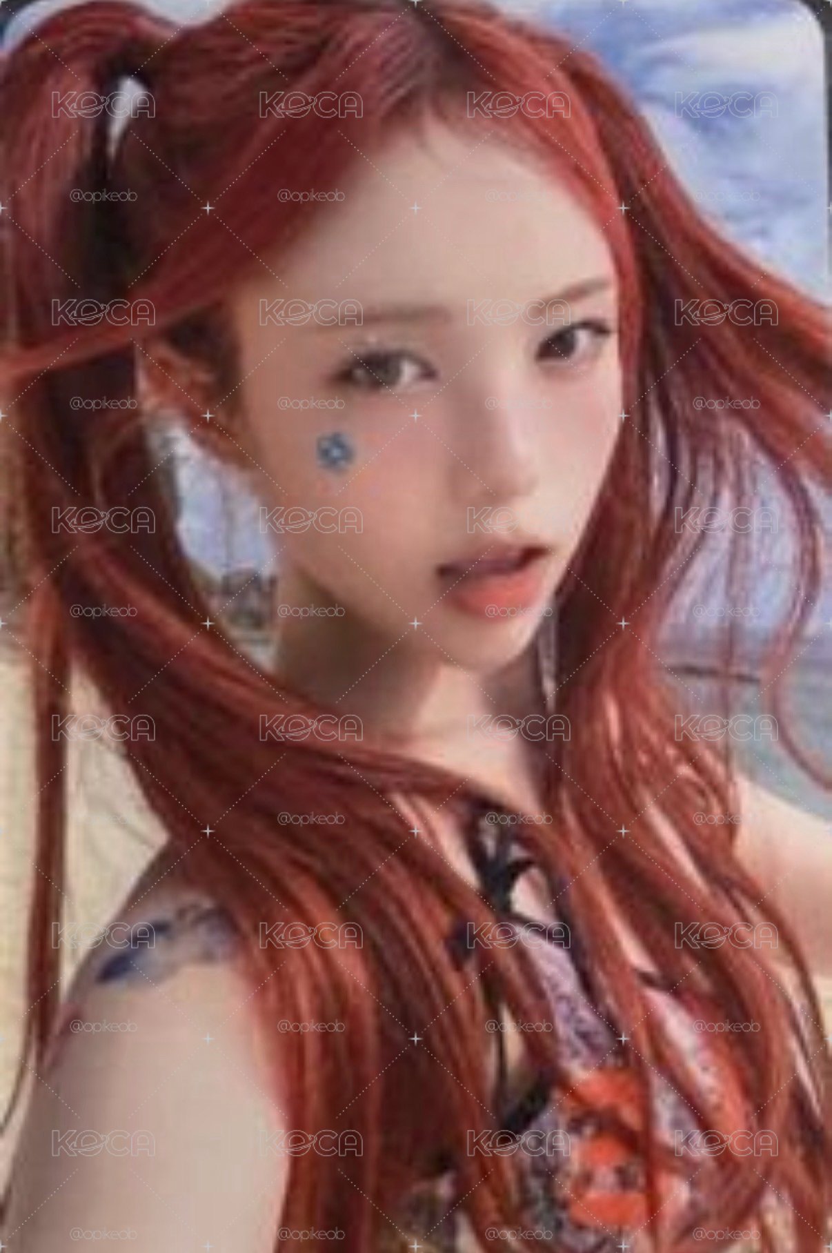 小卡