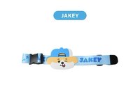 ENCHIN恩親 日咖 JAKEY 行李束帶 