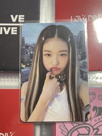 員