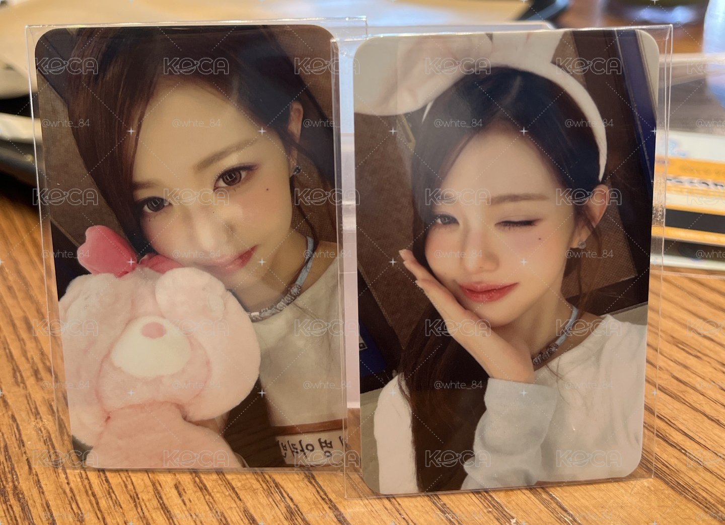愛寶樂園入場卡+活動卡員套組