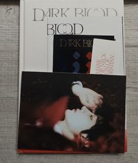 紅白版（訓）