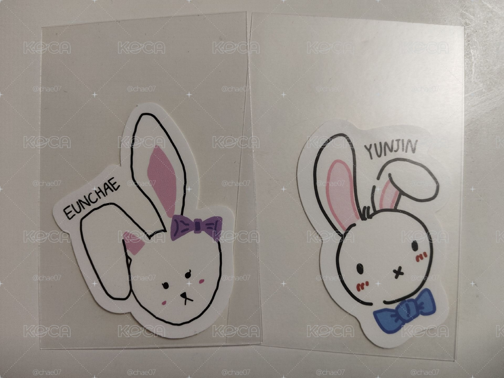 🔅一期會員禮貼紙