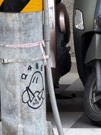 鹿角D