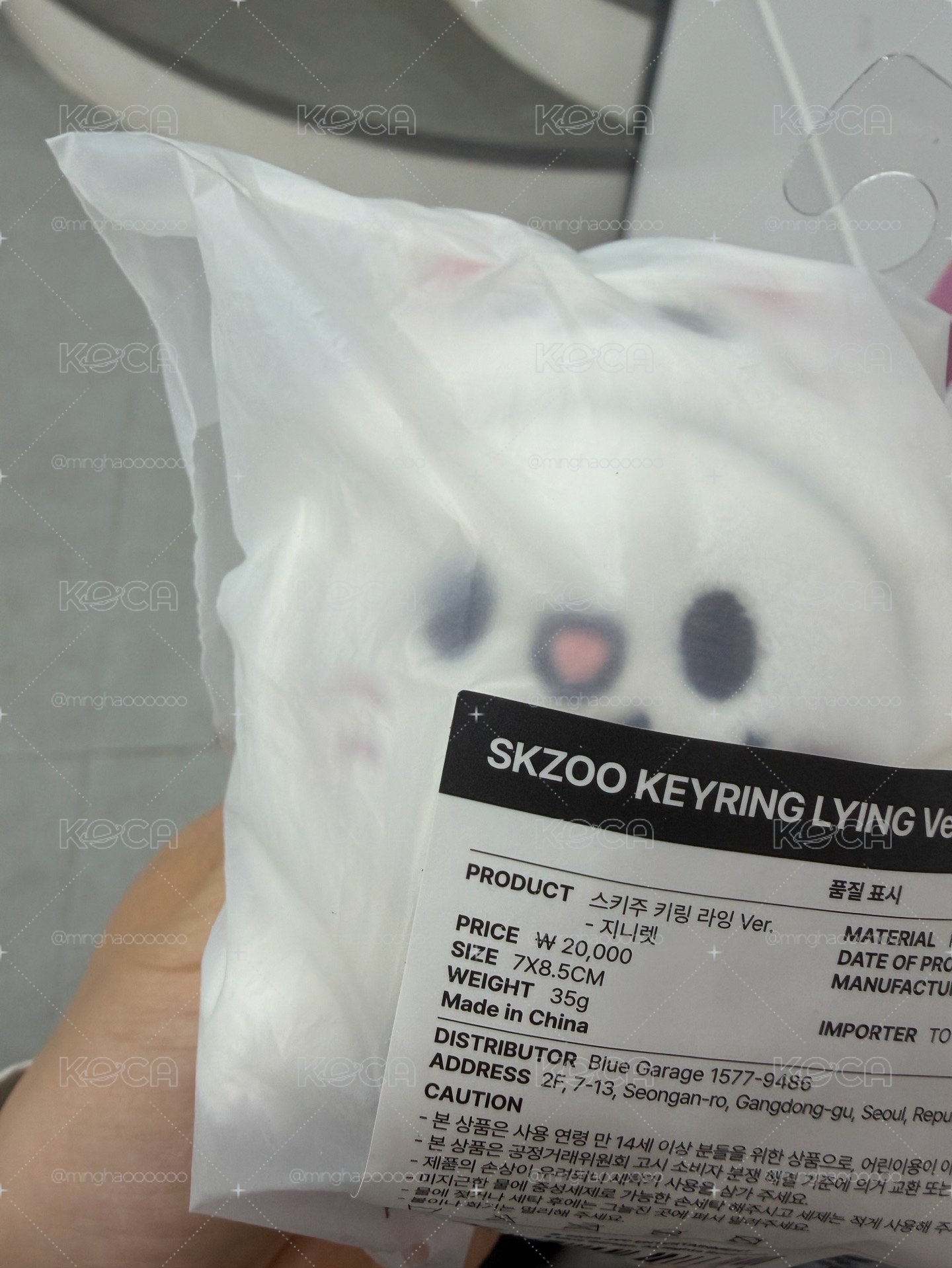 skzoo 趴娃