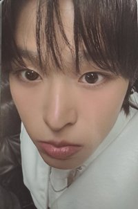 위시니니 周邊卡 靠墊