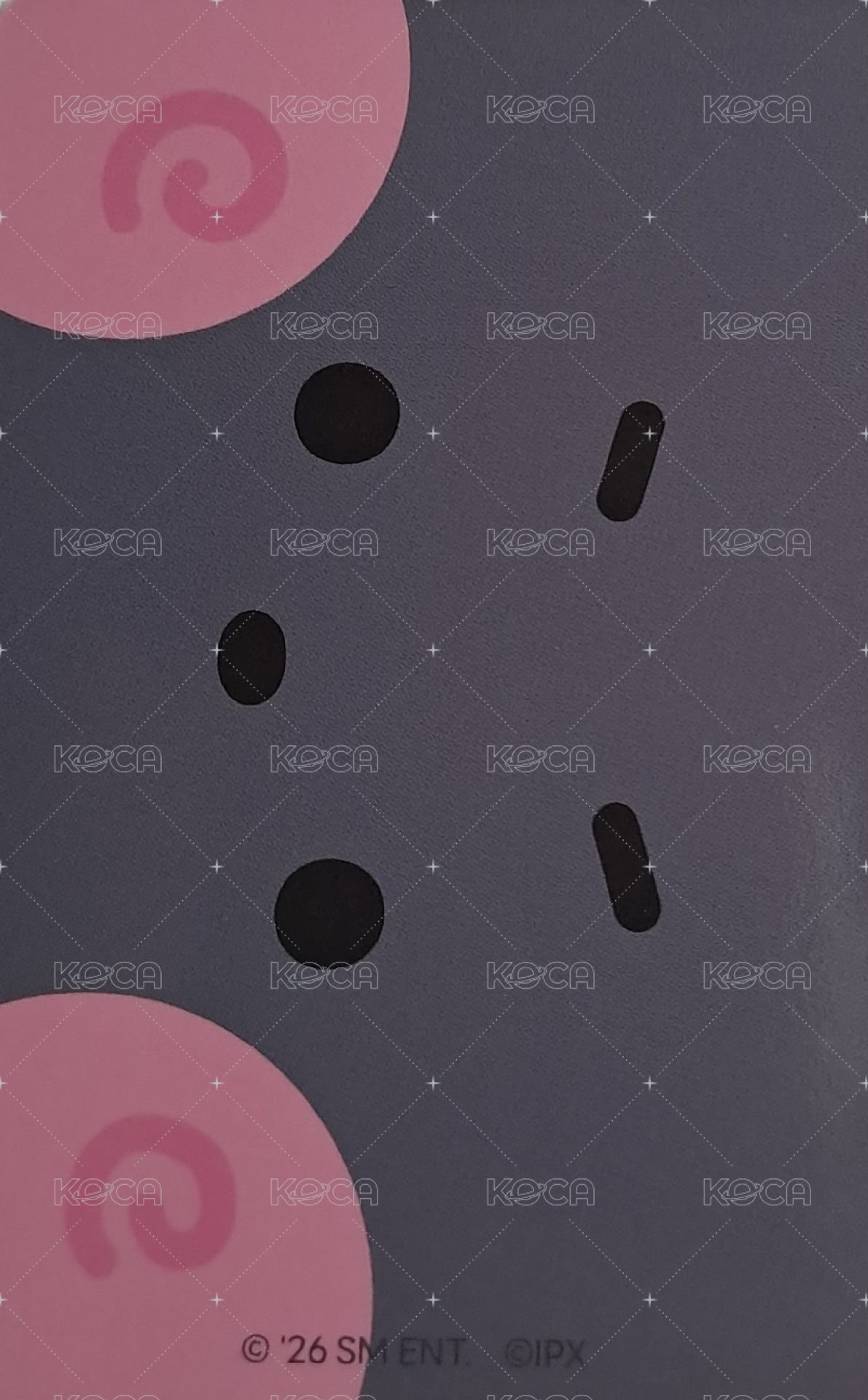 위시니니 周邊卡 靠墊 背面