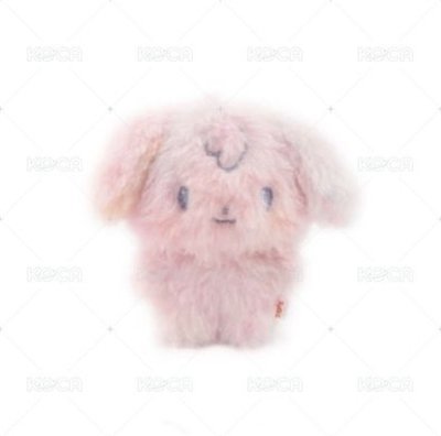 Search image